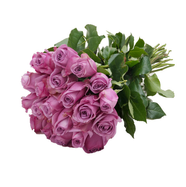 24 PURPLE ROSES HAND-TIED BOUQUET