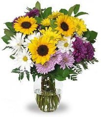 Sunflowers