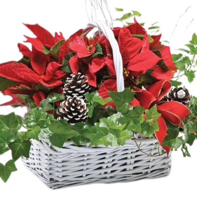 Holiday Planter Basket