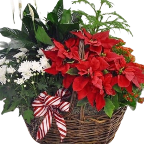 Christmas Garden Basket