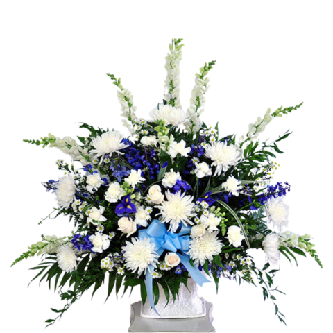 Blue Heaven Arrangement