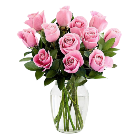 12 Pink Roses