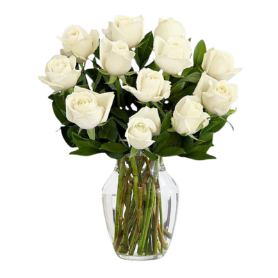 12 White Roses