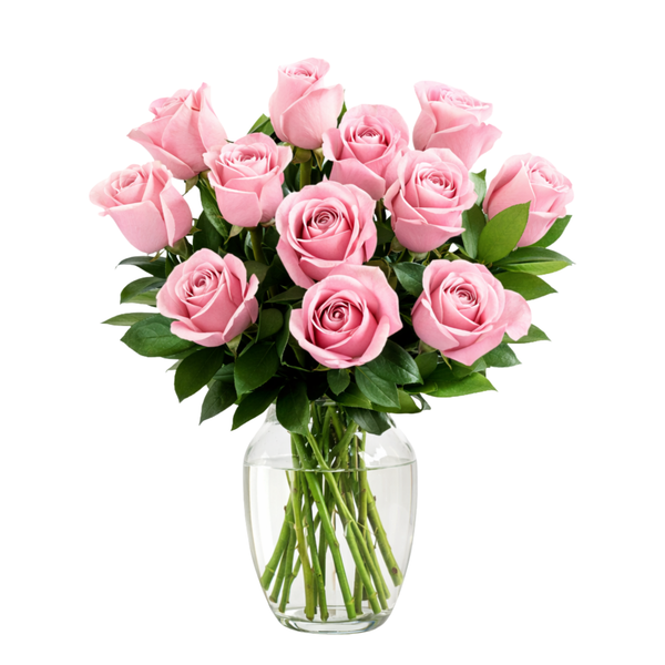 12 Pink Roses
