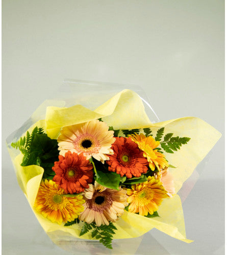 Gerbera Daisies Bouquet